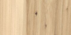 Elm